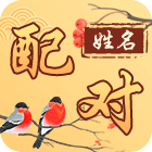 姓名配对
