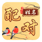 姓名配对